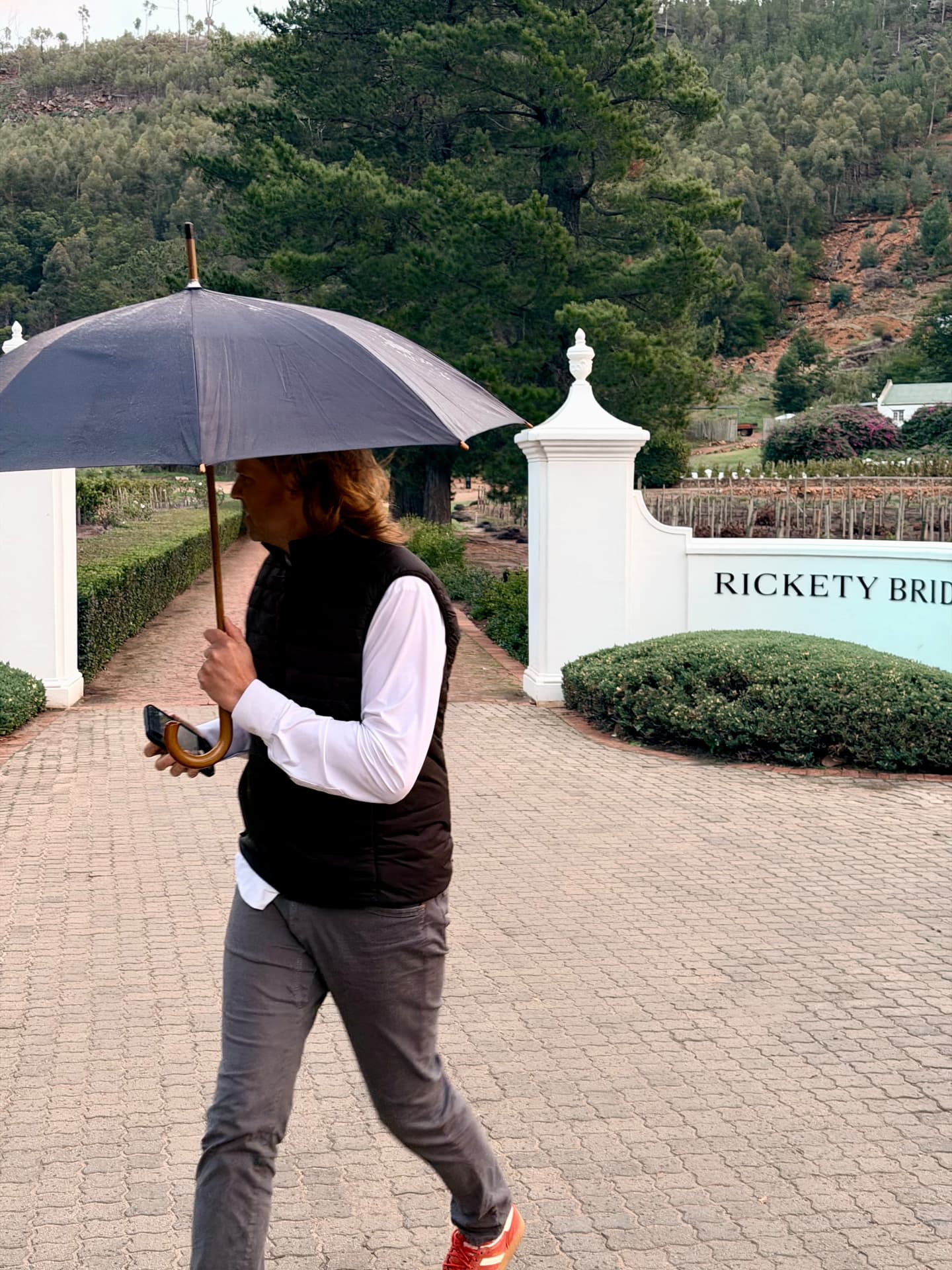 Estate gates on a rainy morning